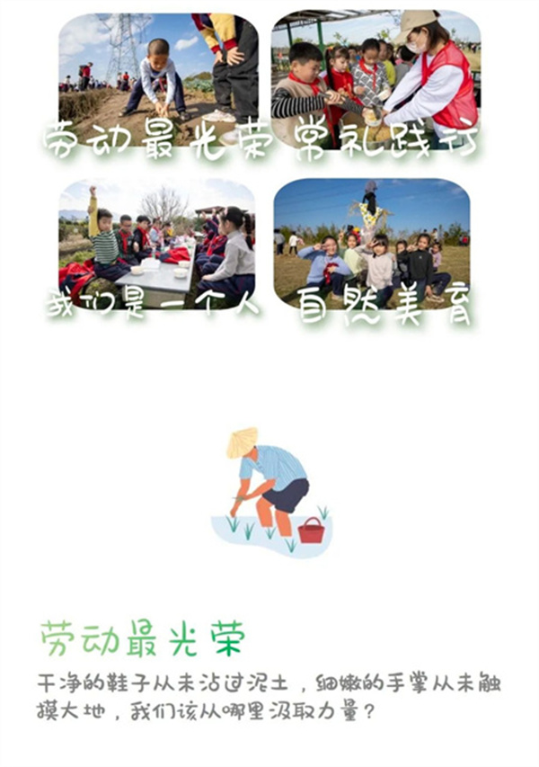 一碗炒飯，一日農(nóng)民，一種感恩。(圖1)